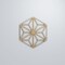 Ekena Millwork Medium Hampton Decorative Fretwork Wood Wall Panels, Hickory, 15 3/8"W x 17 3/4"H x 3/8"T WALW16X16X0375HMPHI - alternate 3